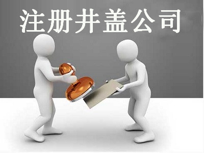 注冊井蓋公司