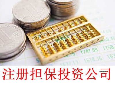 最新廈門擔(dān)保投資公司注冊流程