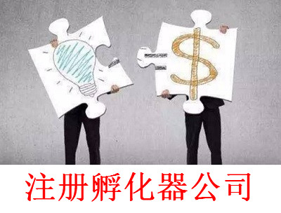 注冊孵化器公司