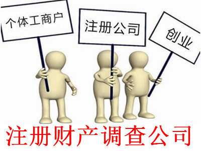 最新廈門財產調查公司注冊流程