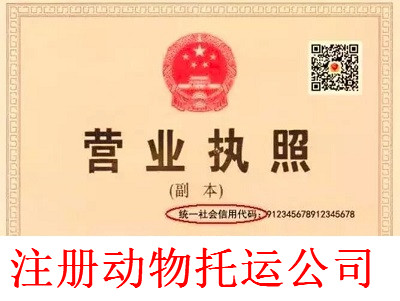 最新廈門動物托運(yùn)公司注冊流程