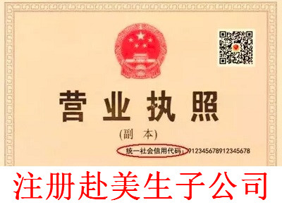 注冊赴美生子公司