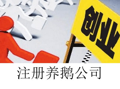 最新廈門養鵝公司注冊流程
