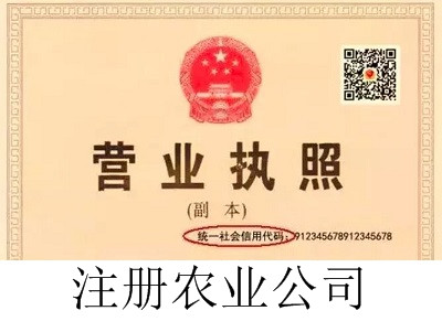 最新廈門農(nóng)業(yè)公司注冊流程